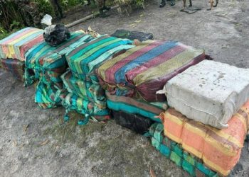 Cerca de uma tonelada de droga é apreendida pelo Exército Brasileiro e pela PF em São Gabriel da Cachoeira
