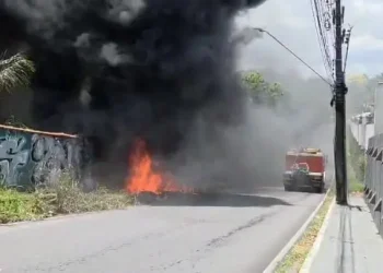 Incêndio atinge área de mata do Parque 10 e deixa moradores preocupados