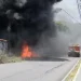 Incêndio atinge área de mata do Parque 10 e deixa moradores preocupados