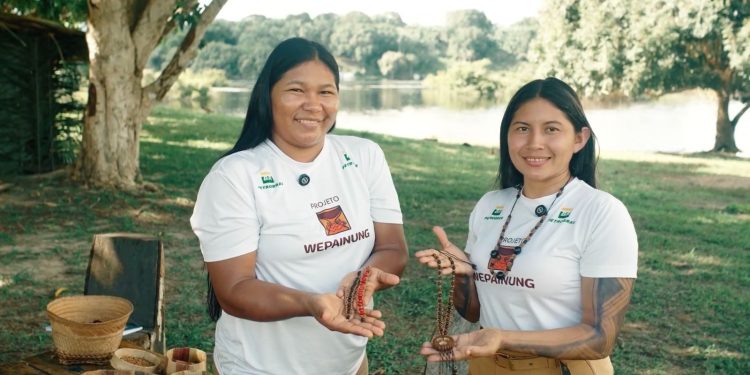 Projeto Wepainung fortalece sustentabilidade na Terra Indígena Andirá-Marau com balanço positivo em seu primeiro ano de execução