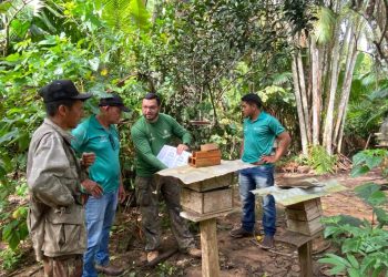 Prefeitura de Parintins oferece acompanhamento técnico a criadores de abelhas do Parananema