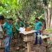 Prefeitura de Parintins oferece acompanhamento técnico a criadores de abelhas do Parananema